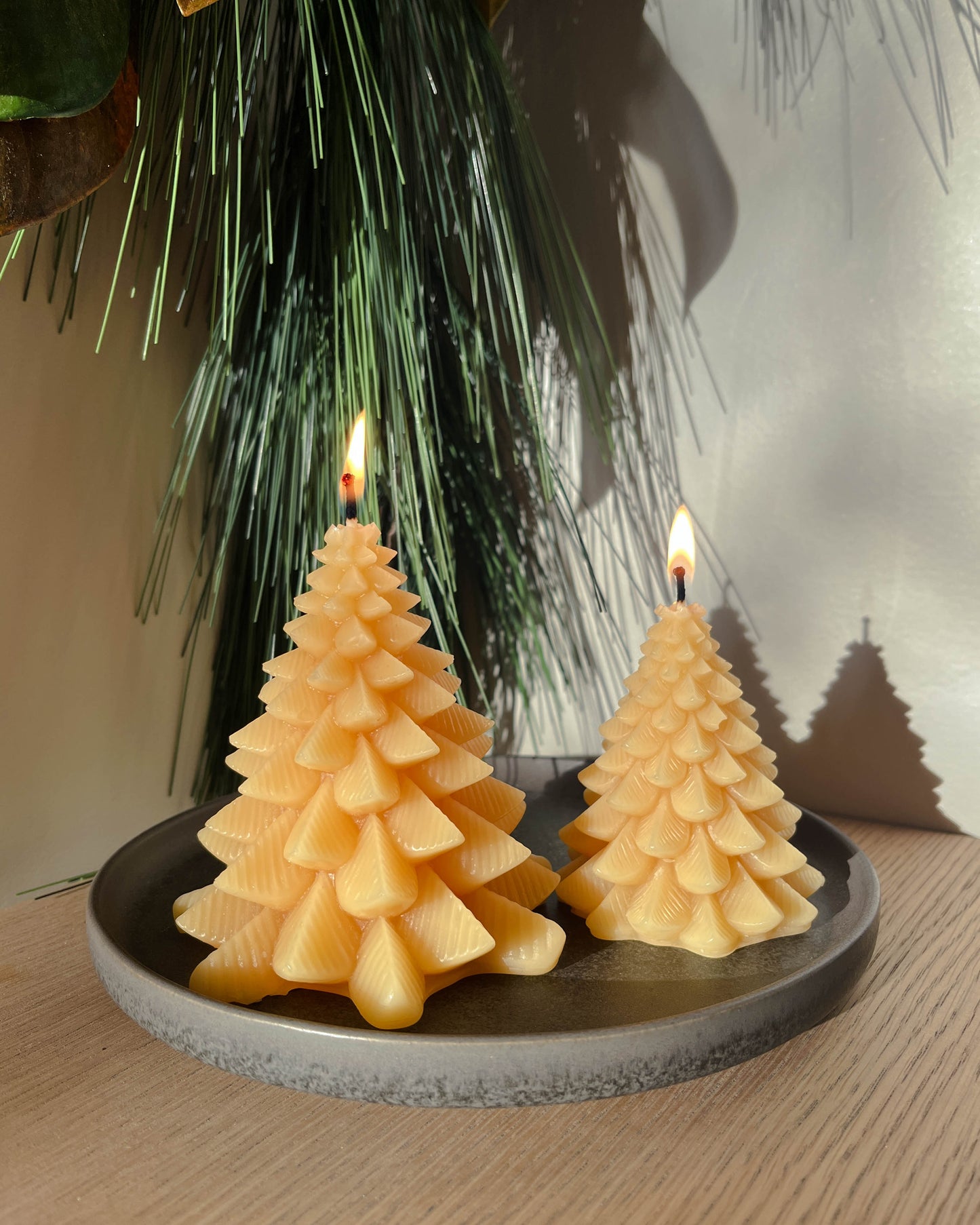 Beeswax Modern Christmas Tree Set