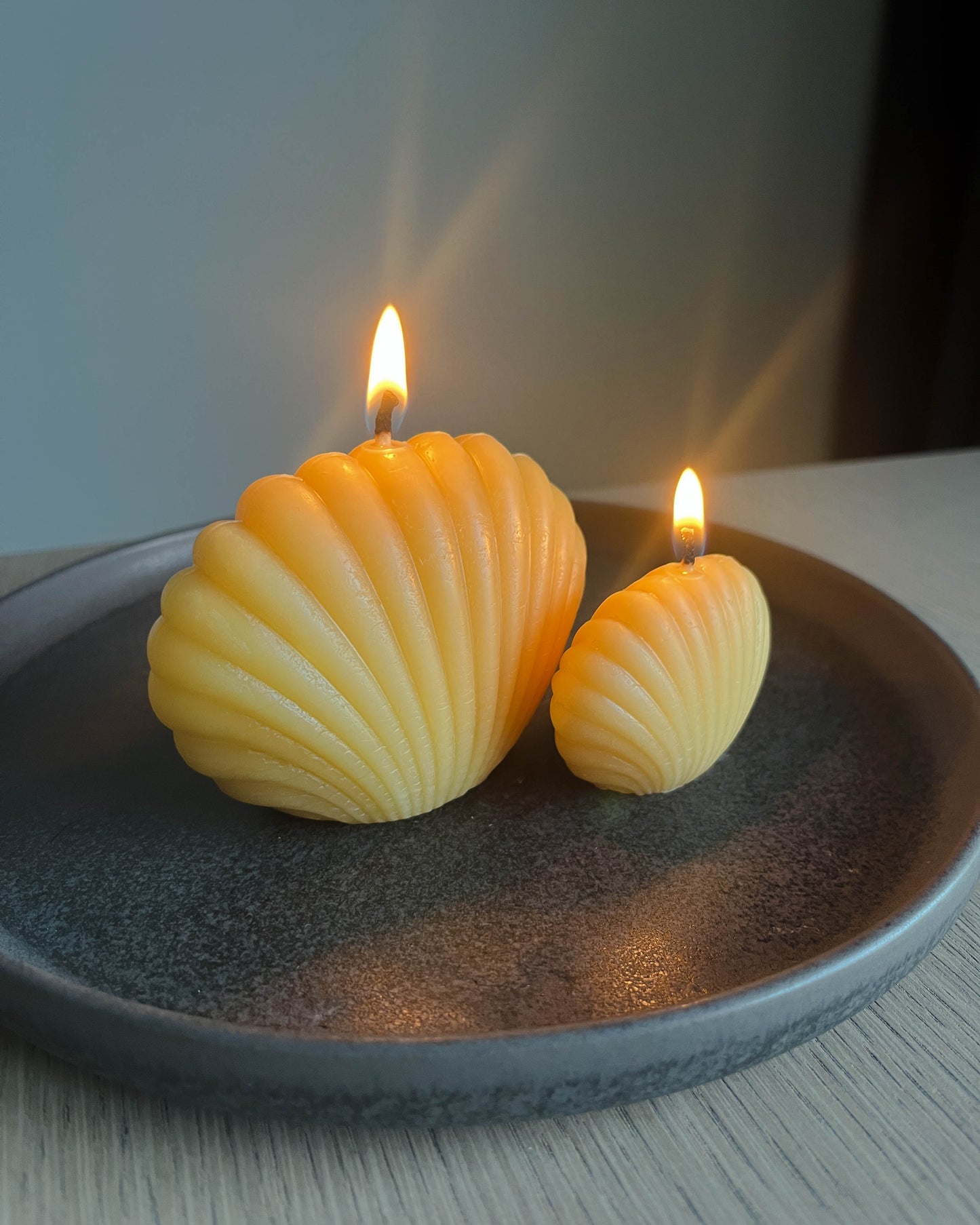 Beeswax Shell Candle Set