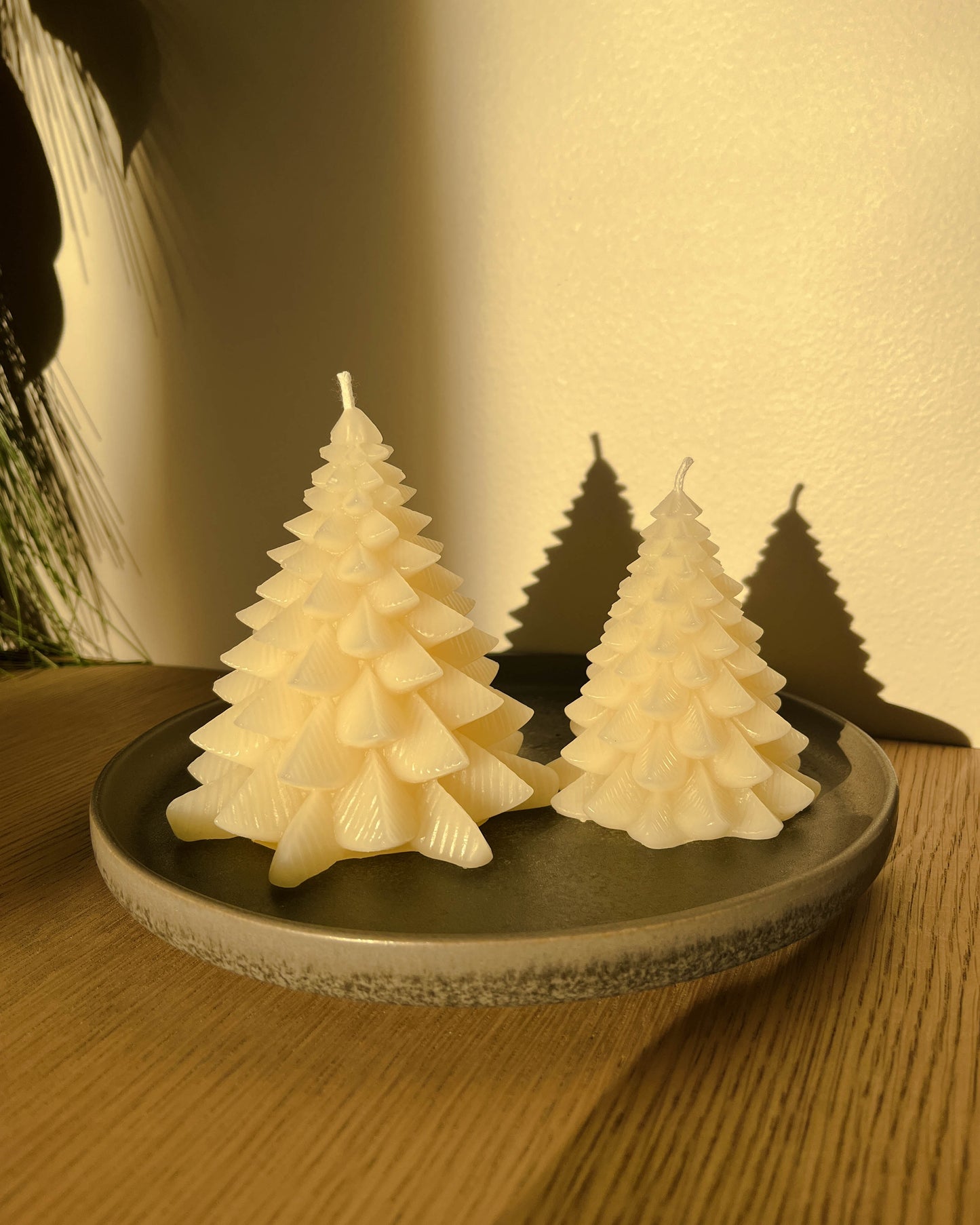 Beeswax Modern Christmas Tree Set