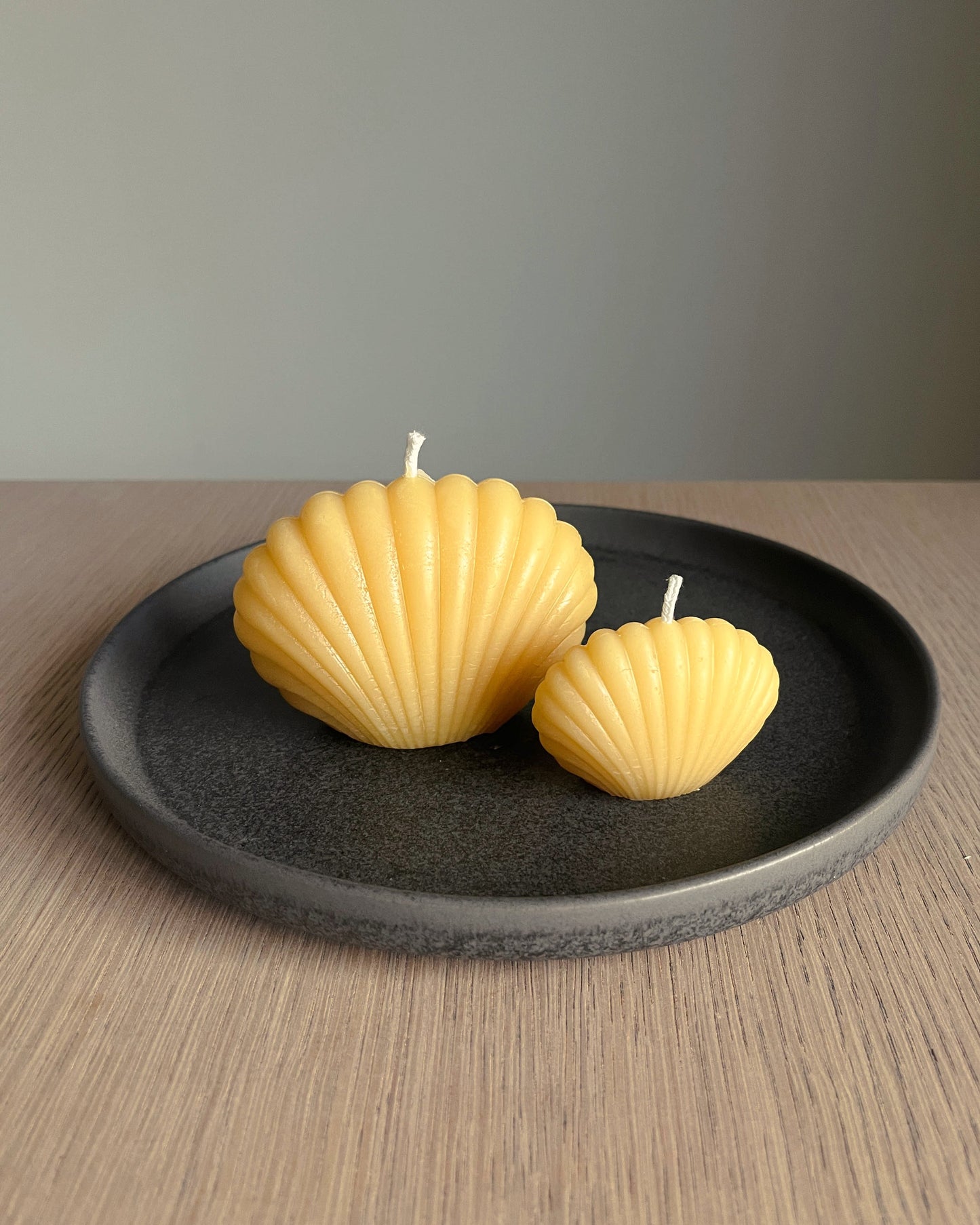Beeswax Shell Candle Set