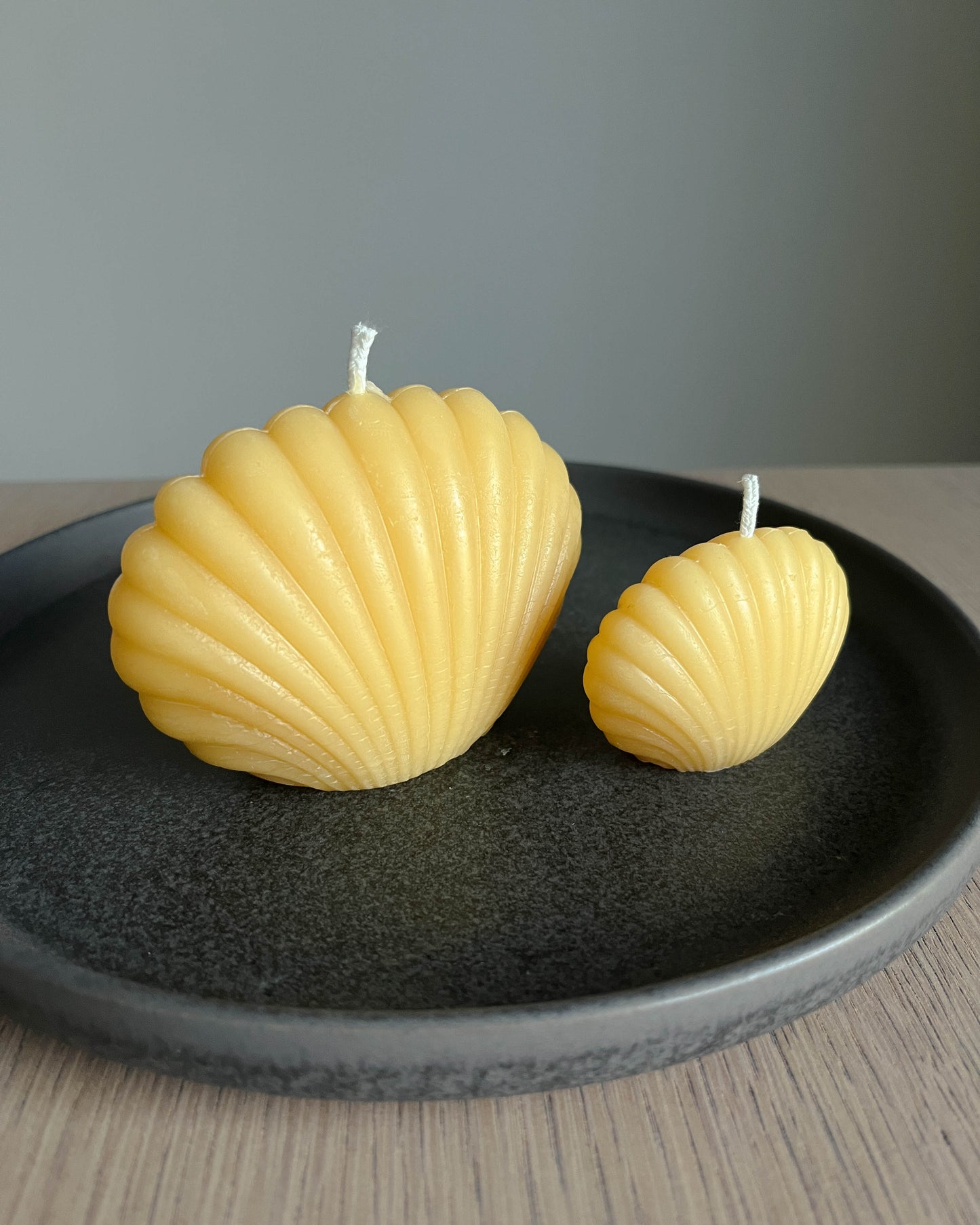 Beeswax Shell Candle Set