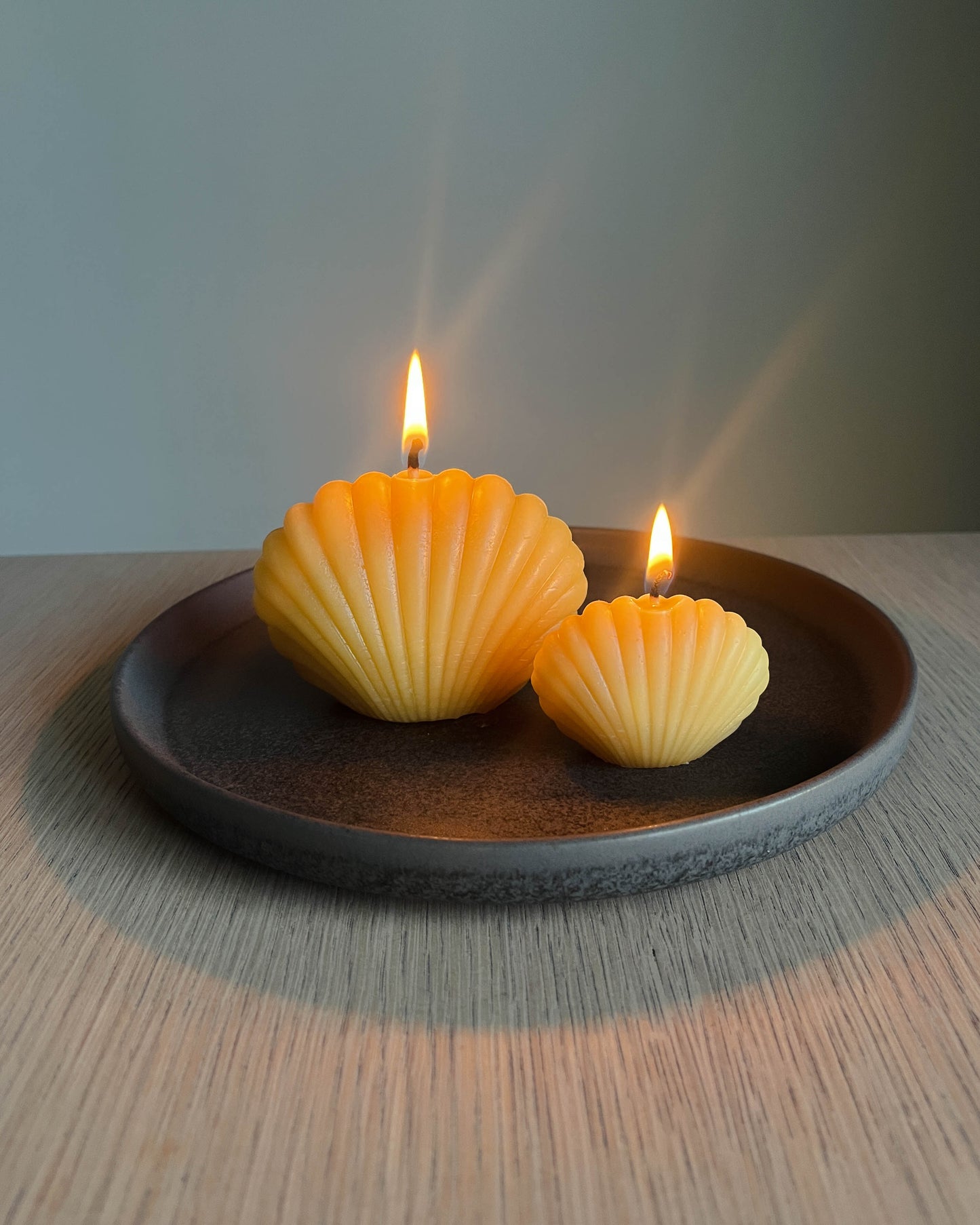 Beeswax Shell Candle Set