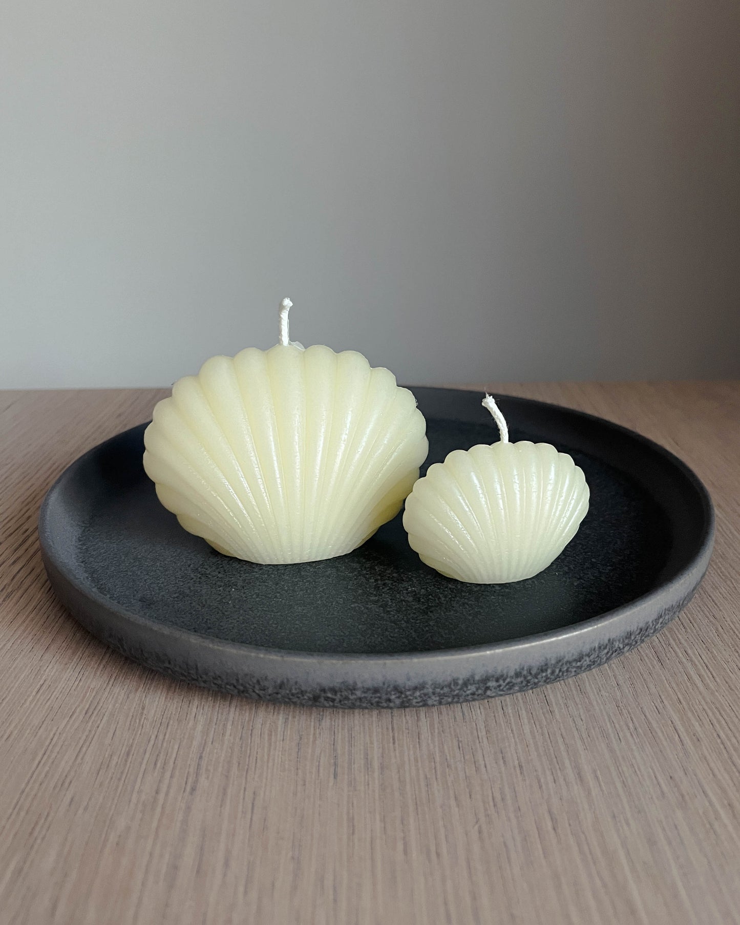 Beeswax Shell Candle Set