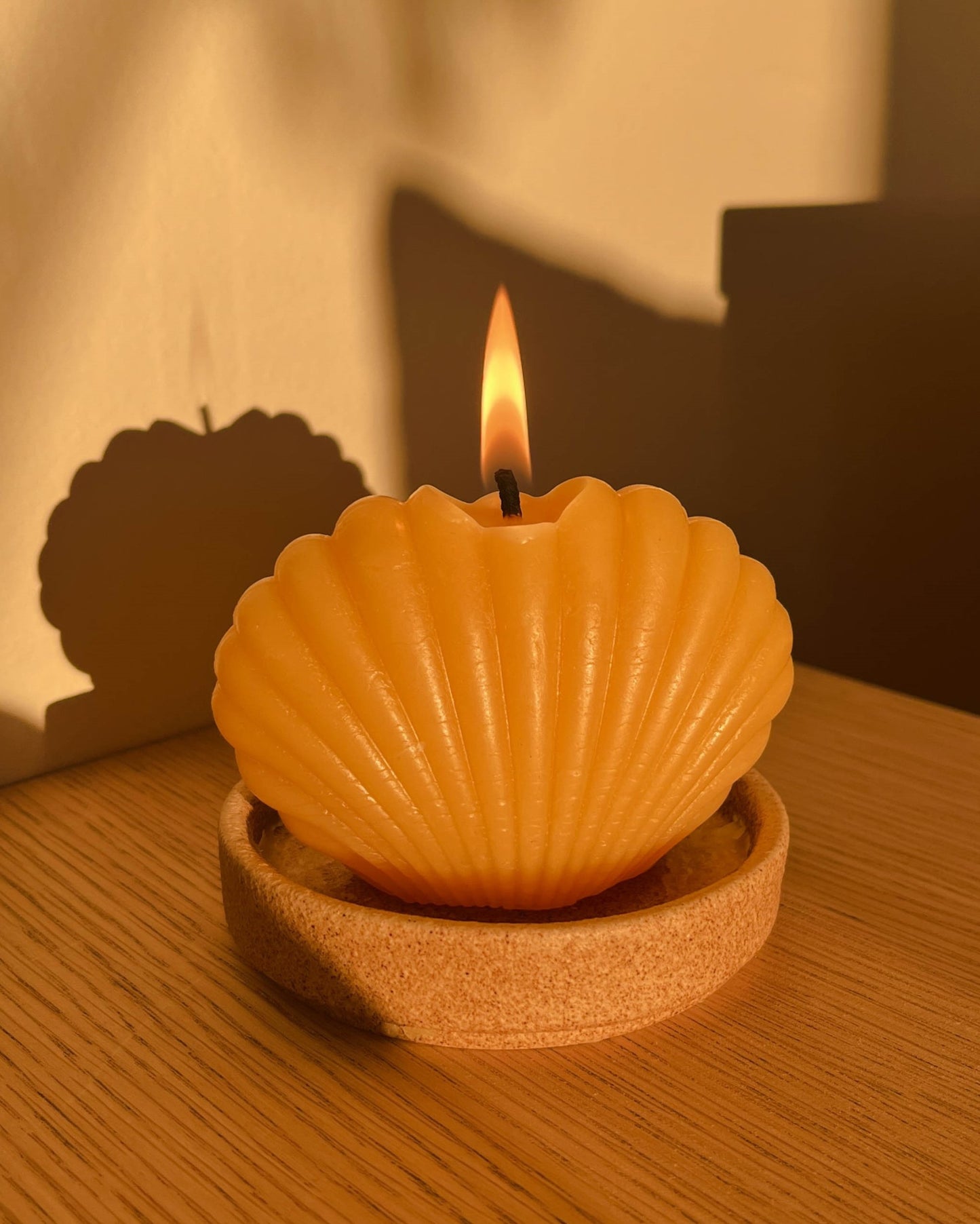 Beeswax Shell Candle Set